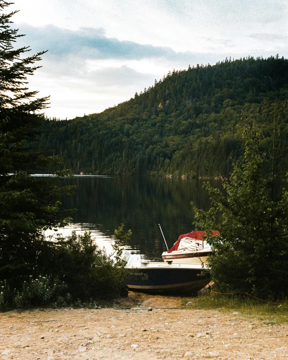 a small boat is parked near some trees