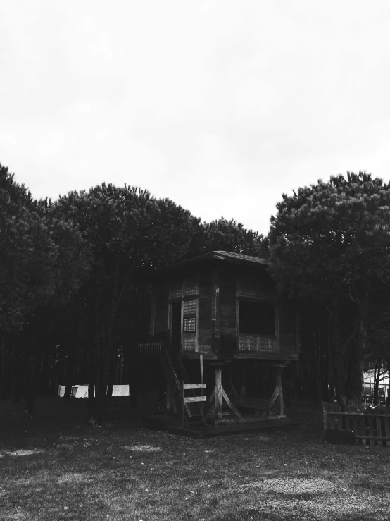 a big building surrounded by trees and tall trees