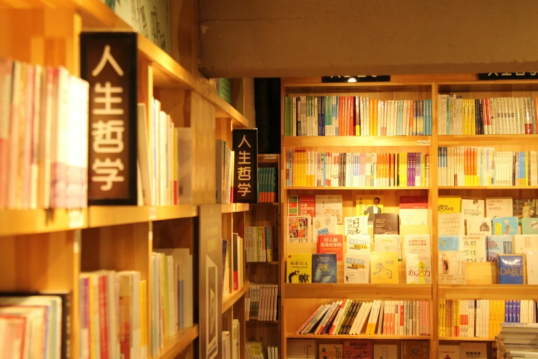rows of books on wooden shelves in a liry