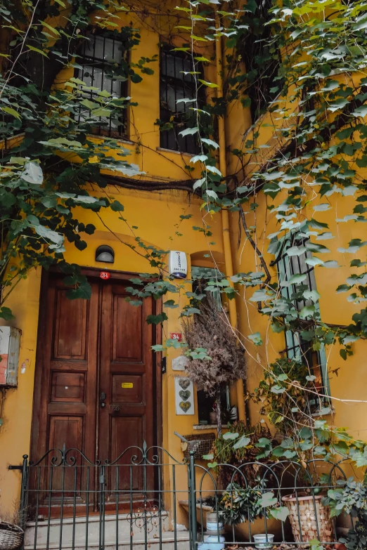 this is a door in a yellow building with some vines on it