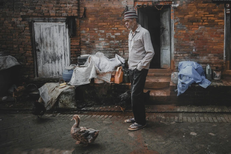 a man standing by some chickens on a street