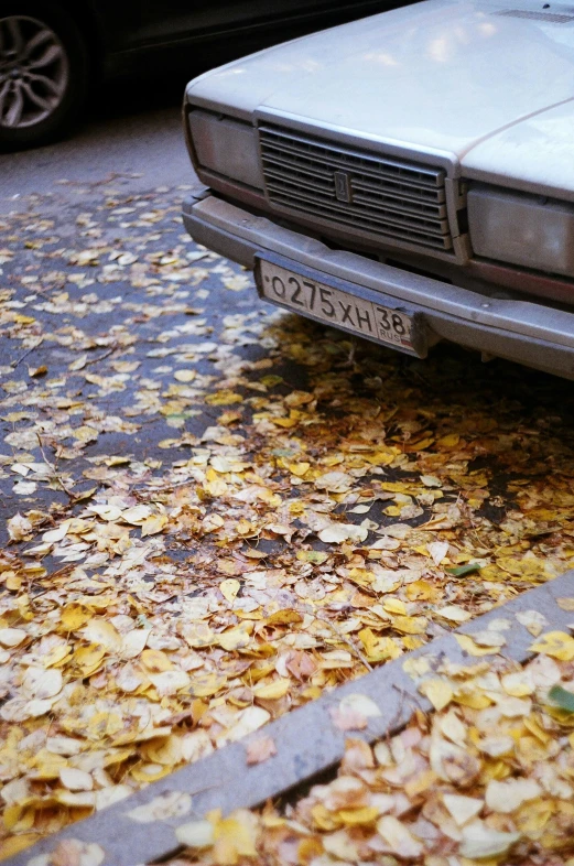 a silver car parked in a lot with fallen leaves