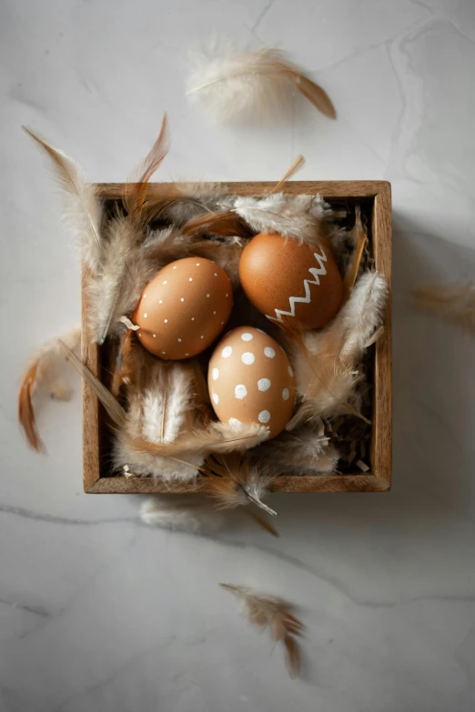 a box full of eggs with feathers on the floor