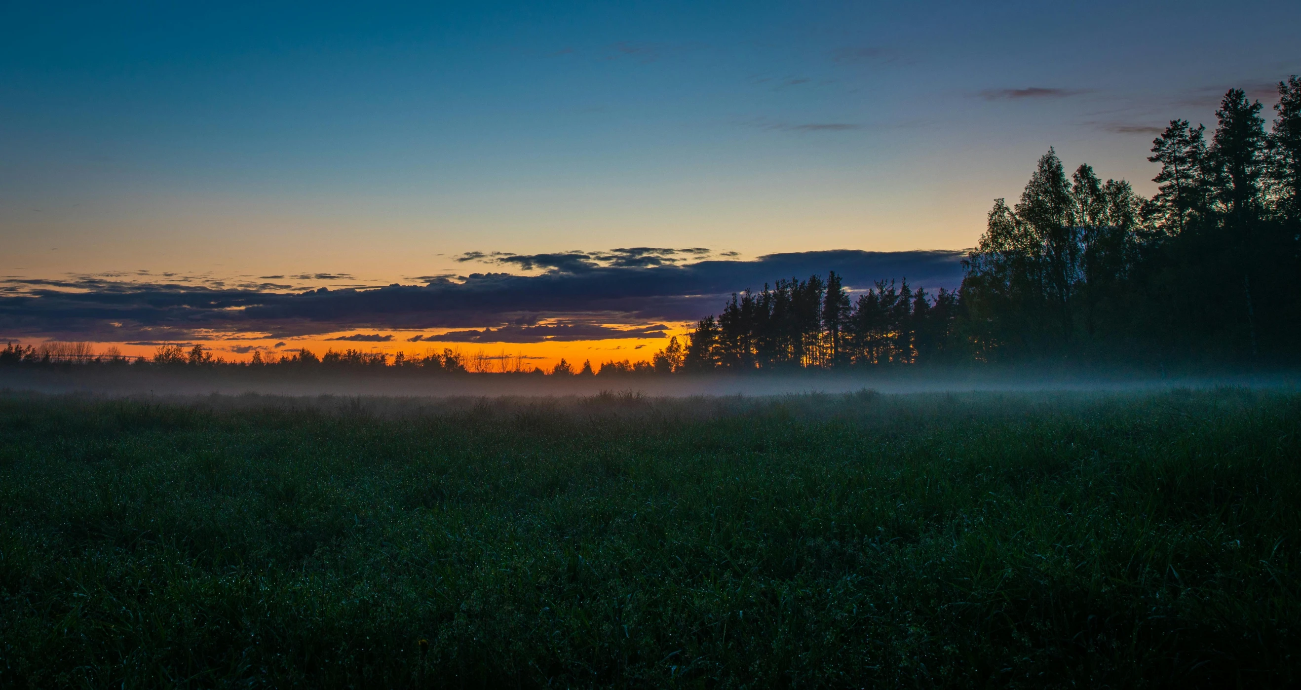 the sun rising over some trees and grass