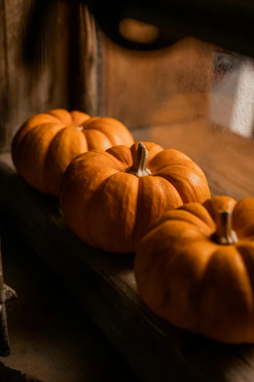 several miniature pumpkins in the foreground on a wooden surface