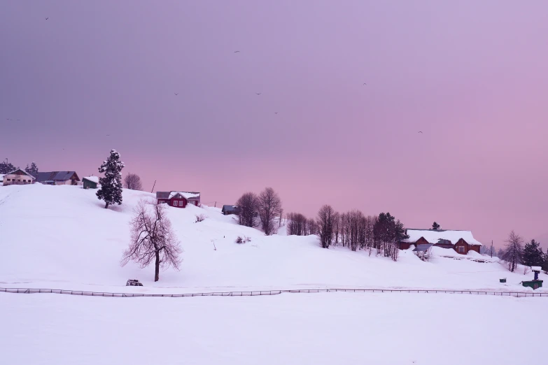 a snowy area with a few houses on a hill