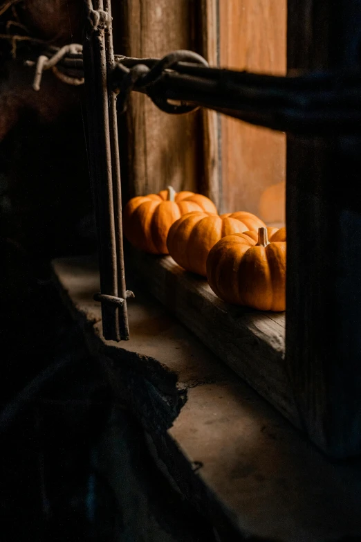 a bunch of pumpkins that are sitting on the ground