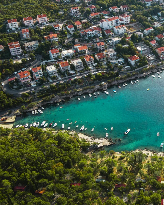 boats are lined up along the water near buildings and trees