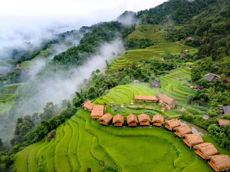 there is a lot of grass in the valley