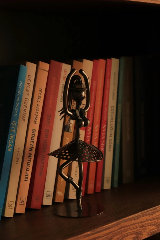 a statue is displayed on a bookshelf with many book cases in the background