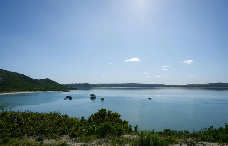 several small boats sit out on the water