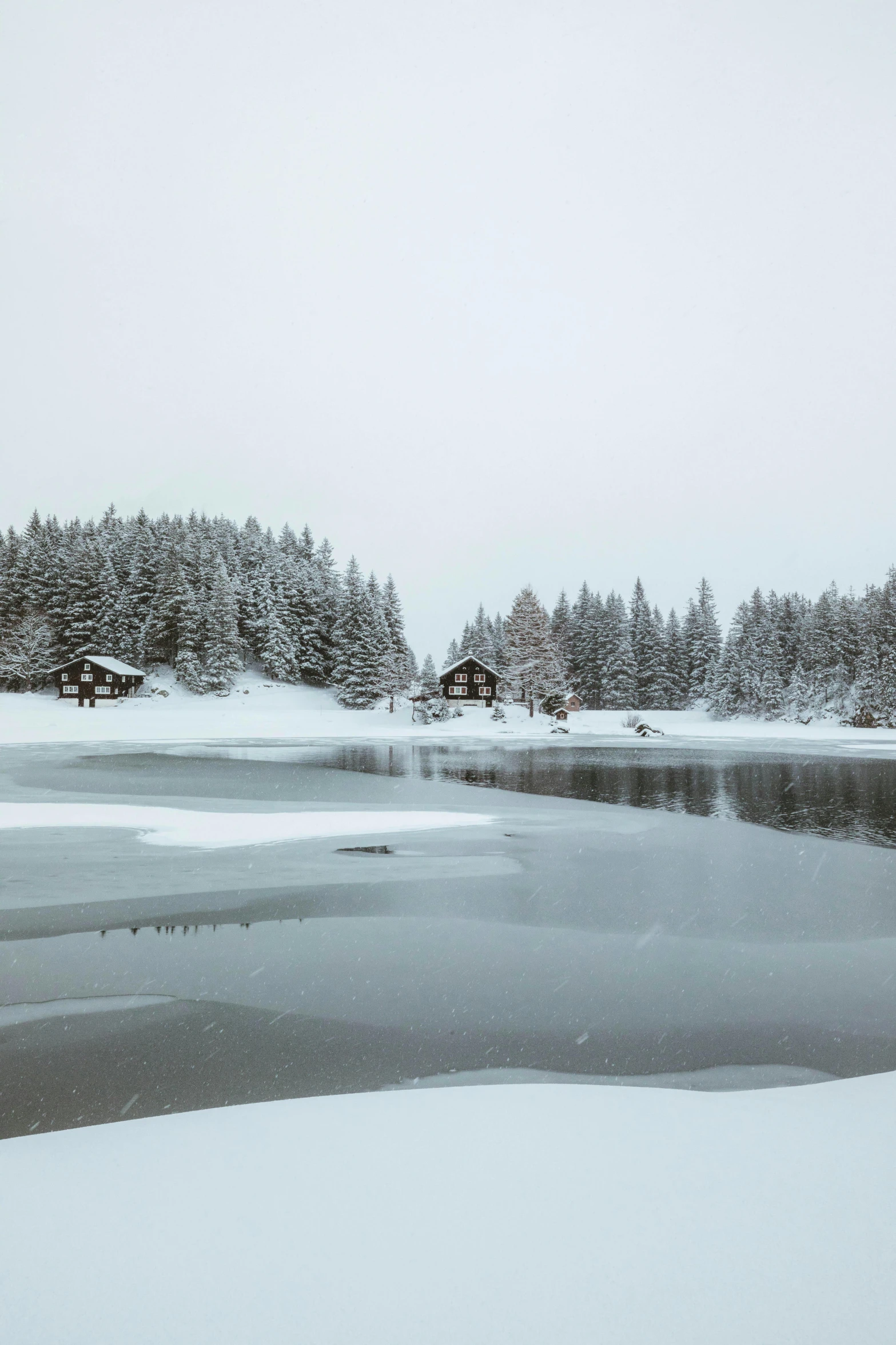 a snow covered area with trees, a body of water and small ice sheets