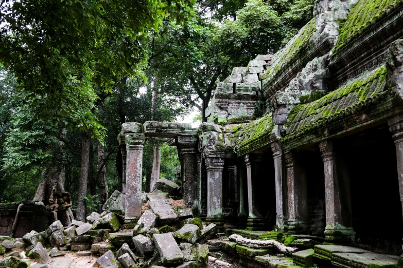 a forest filled with trees next to some ruins