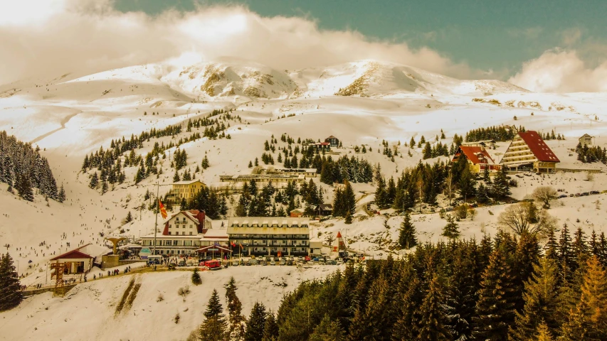 snow covered mountain and a el surrounded by trees