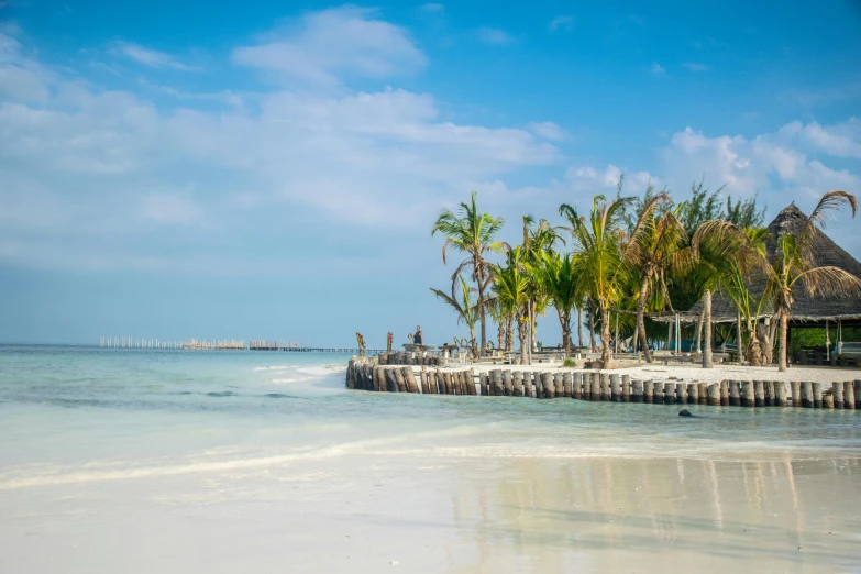 the beach with palm trees lining it and the dock on the water