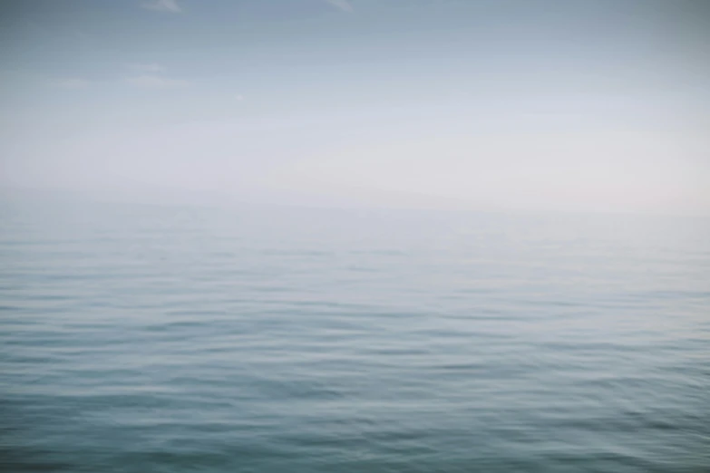 two birds on the edge of a large body of water