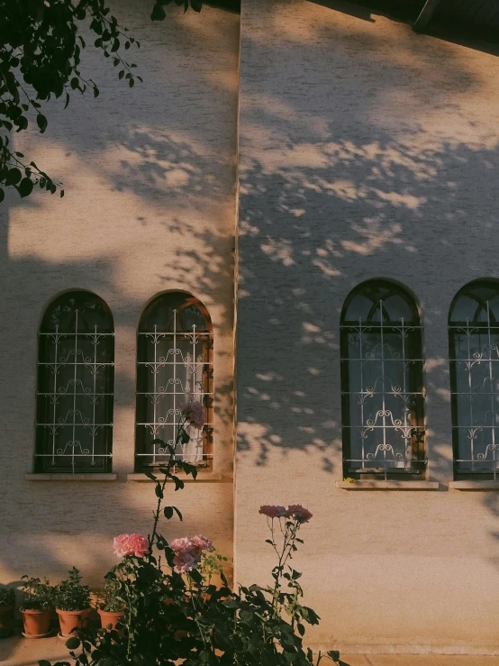 a wall with windows that have flowers below them