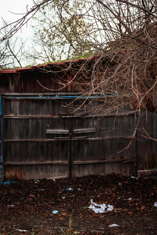 a picture of a shed near some trees