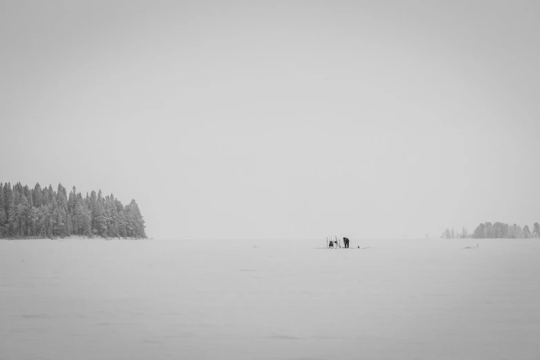 two people are walking in the snow near trees