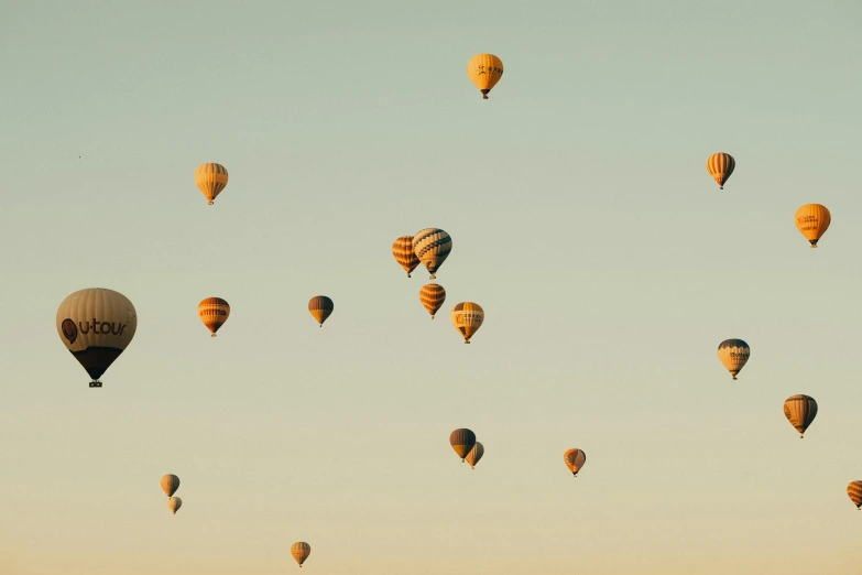 many  air balloons being flown in the sky