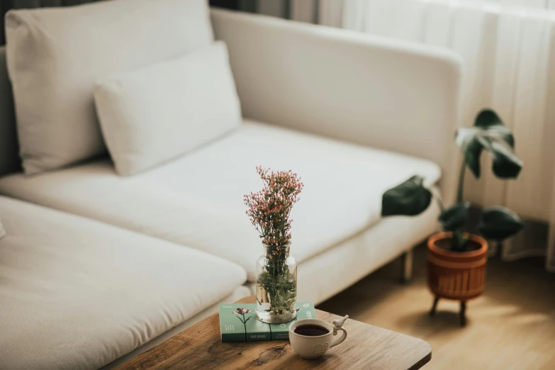 a white couch and some coffee cups and a plant
