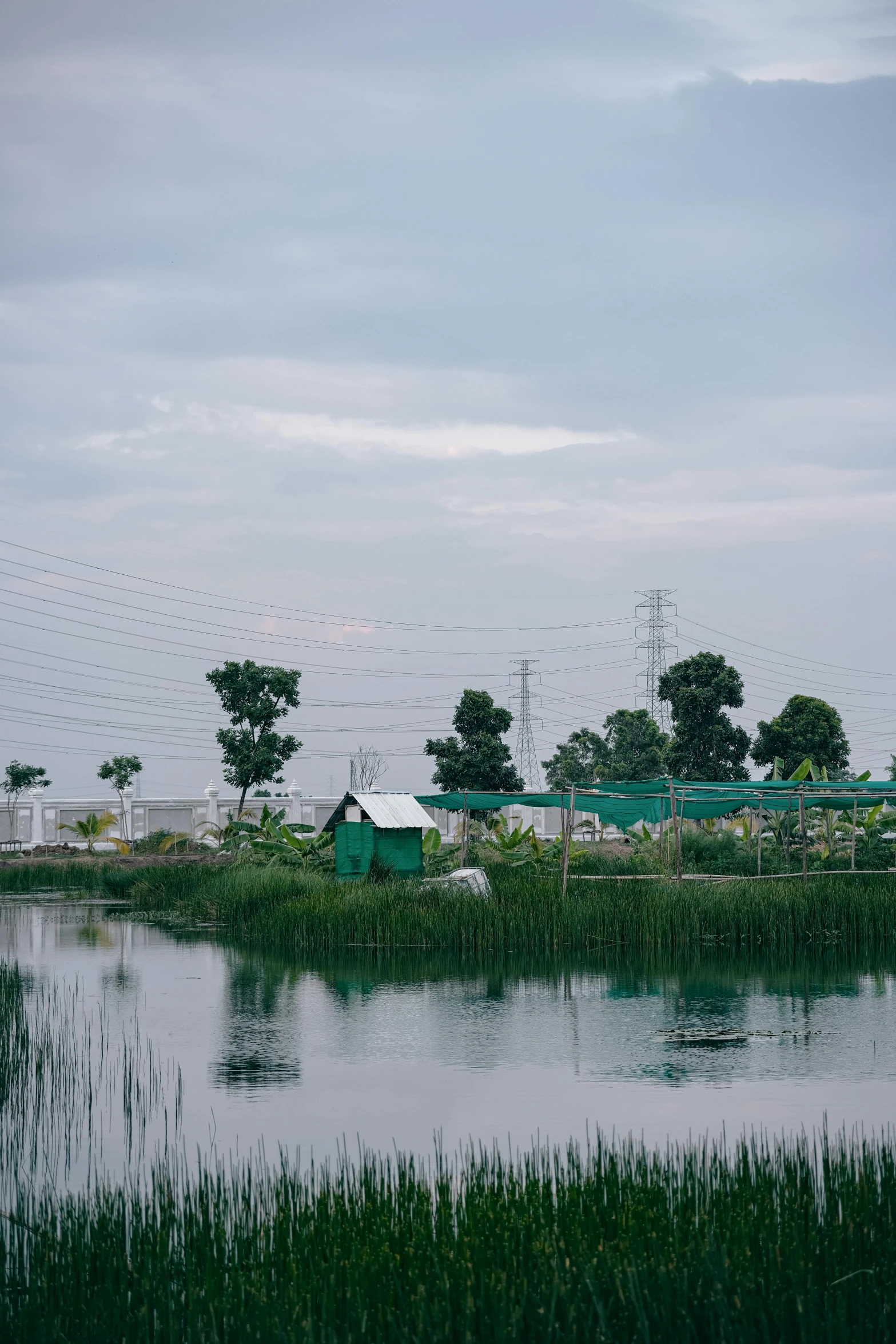 small green houses near water and grass