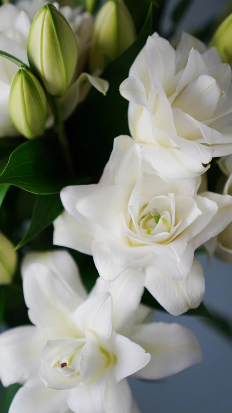 some flowers are sitting in a vase on a table