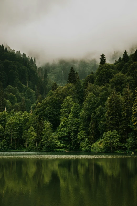 a small lake with forest in the background