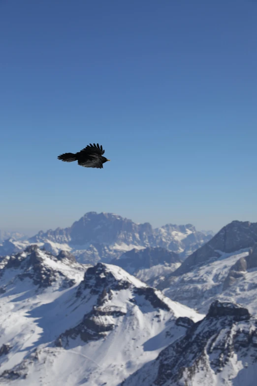 the bird is flying low over the mountains