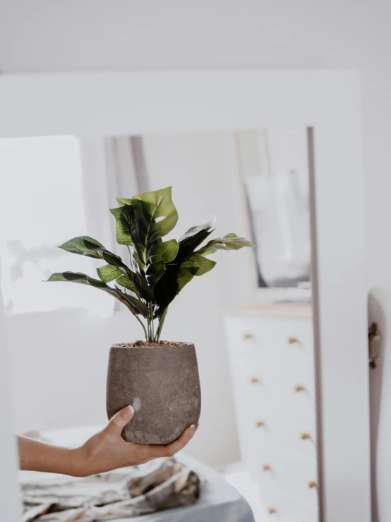 the hand is holding the plant in a pot