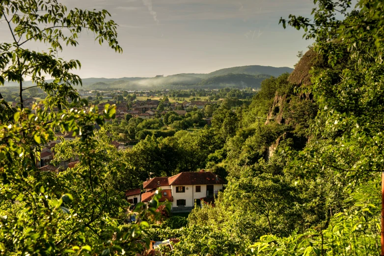 houses sitting near each other surrounded by a forest