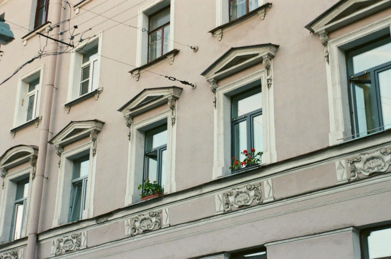 three potted flowers on the ledge of a building