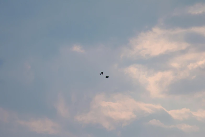 birds are flying against the blue sky with clouds