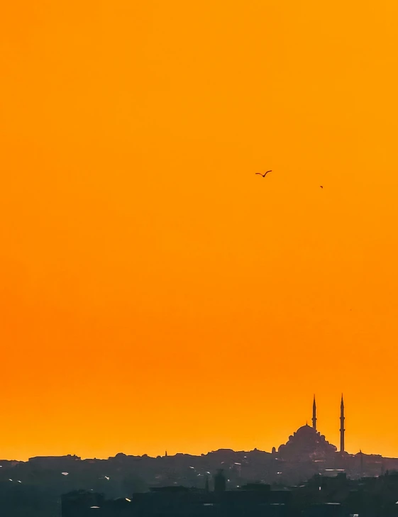 the silhouette of an airplane and two flying birds are silhouetted against a colorful sky