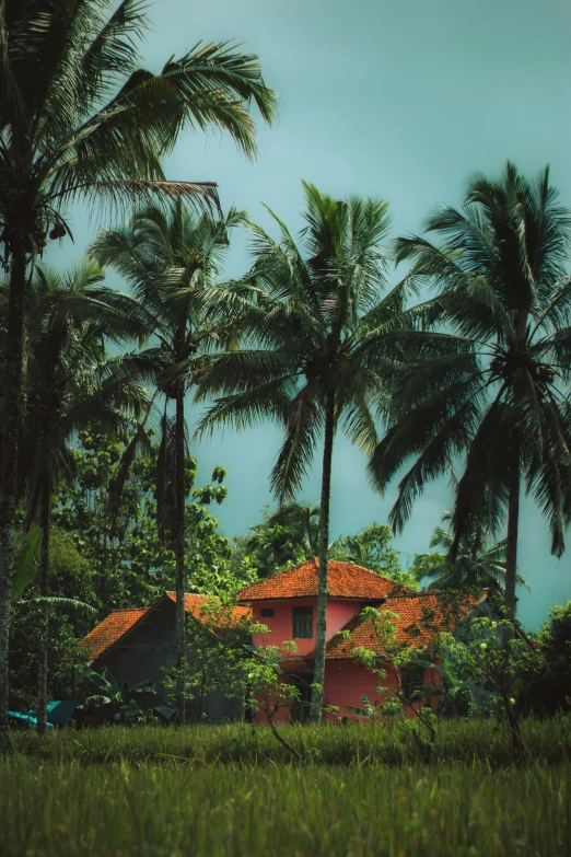 there is a house surrounded by palm trees