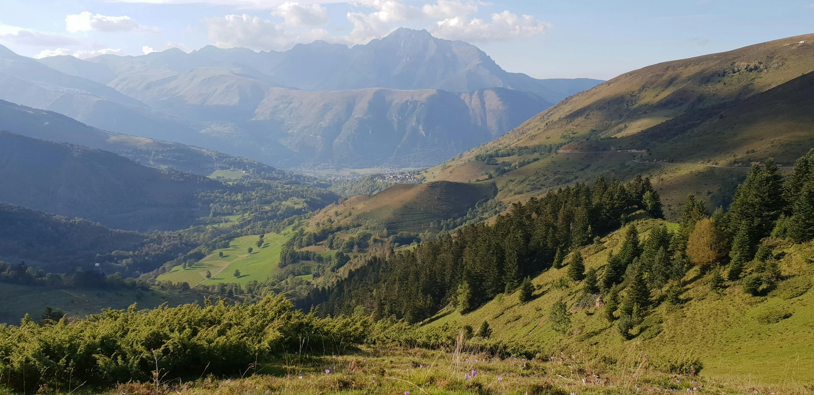 mountains covered in lots of green grass and trees