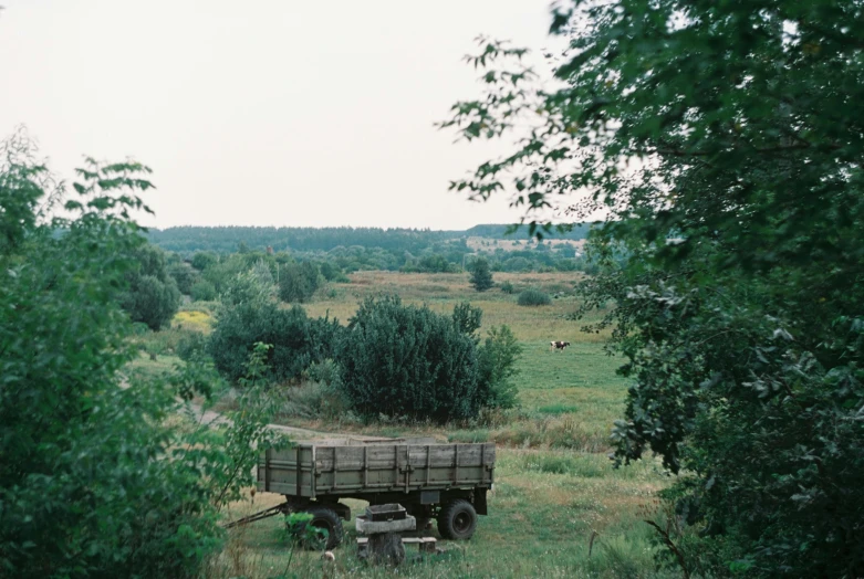 a small truck traveling through a forest filled with trees