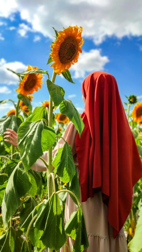 a woman wearing red scarves in a field of sunflowers