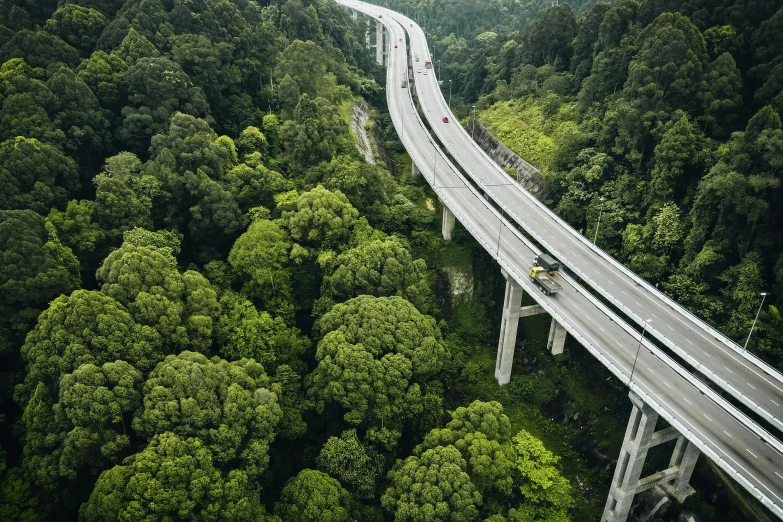 a road is next to a forest in a city