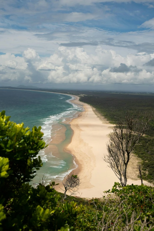 a view of an ocean and trees on a sunny day