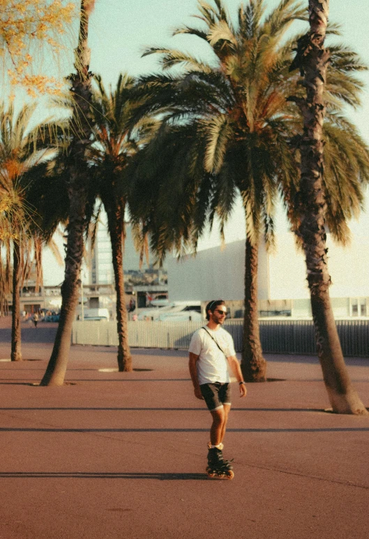  riding skateboard down paved path between palm trees