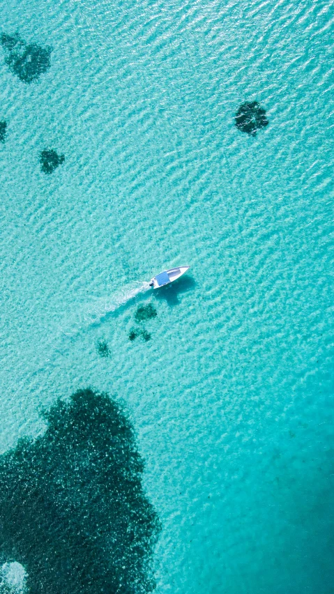 a man on a canoe in the ocean