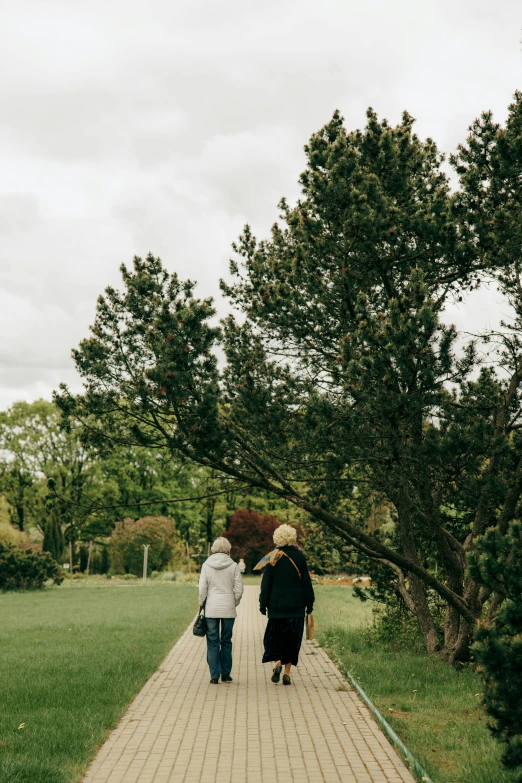 two people are walking up a pathway under some trees