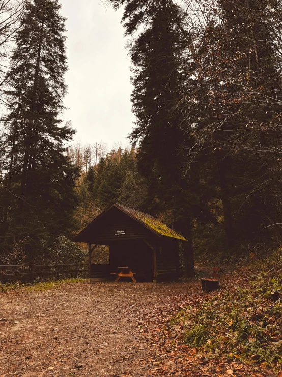 a small hut in a clearing next to a forest