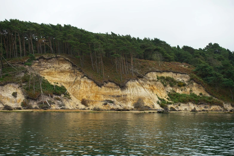 water and trees are seen in the distance on a hill