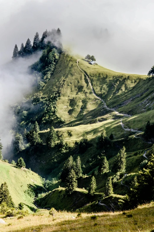 some very large hills covered in grass and trees