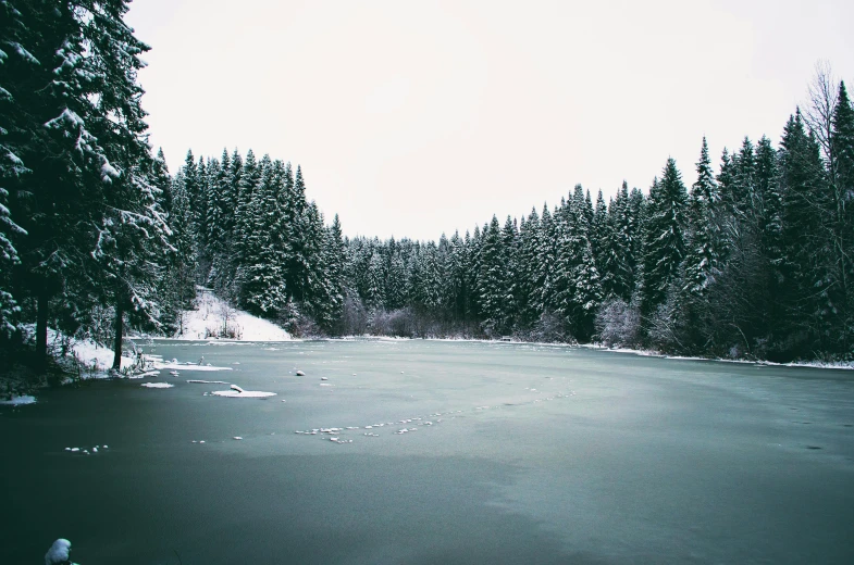 the large field is covered with snow next to tall trees