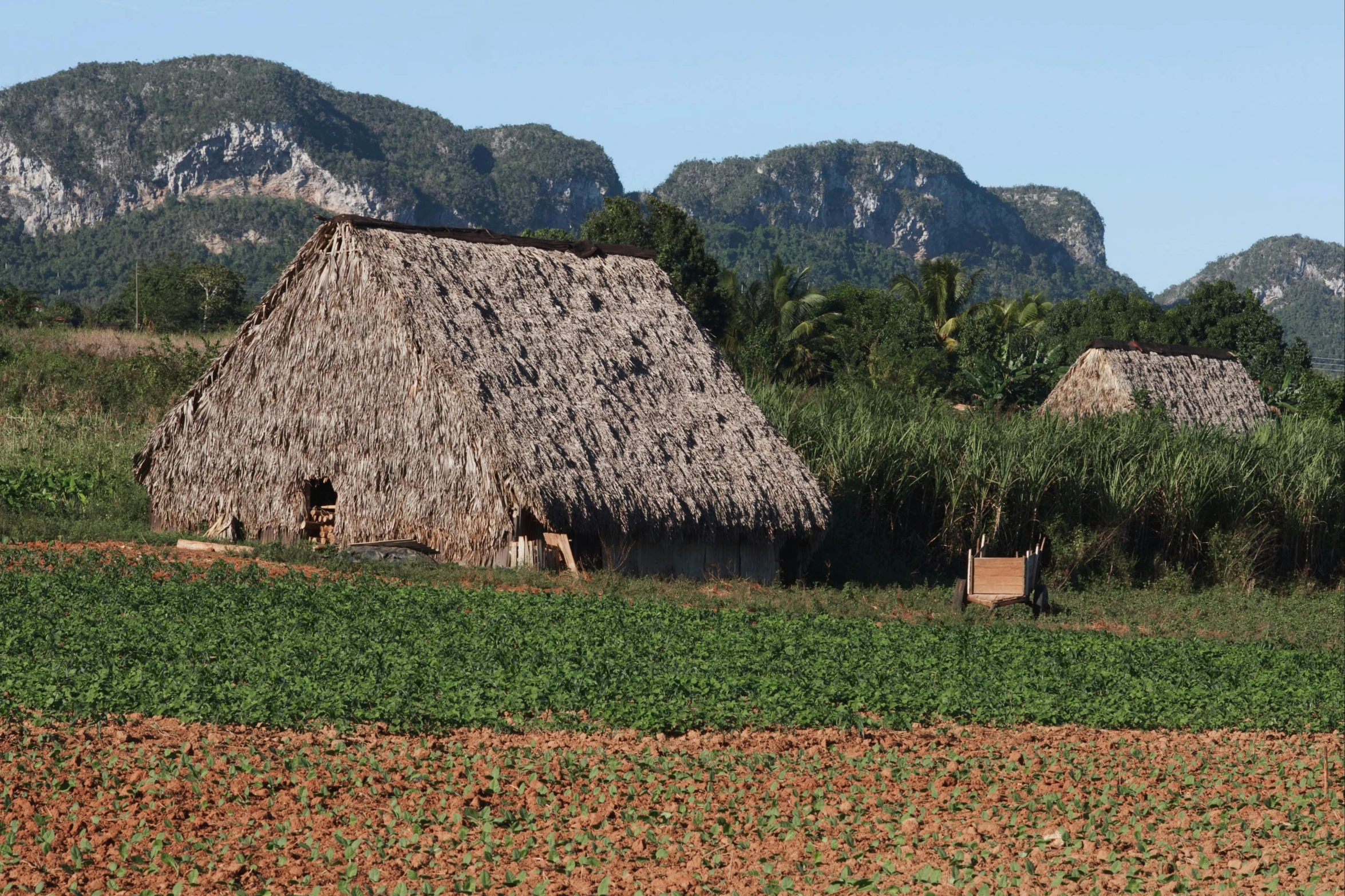 a hut in the middle of a green field with mountains in the background