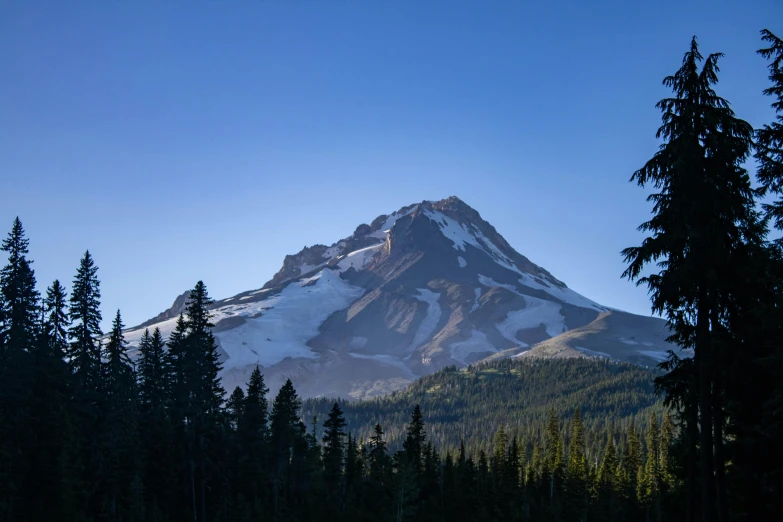 the sun is shining on a mountain surrounded by pine trees