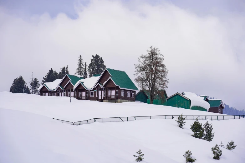 a snow covered field with lots of trees and houses